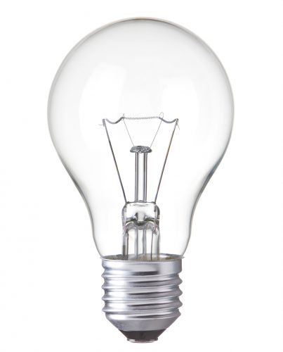 Bulbs-Main-Image